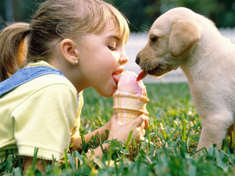 girl and dog eat ice cream and become infected with parasites
